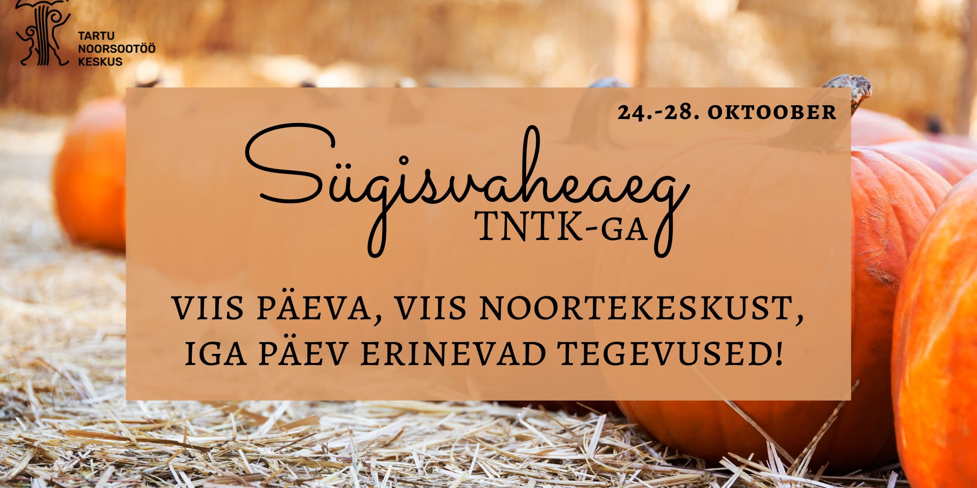 koolivaheaeg (Facebooki kaanepilt)