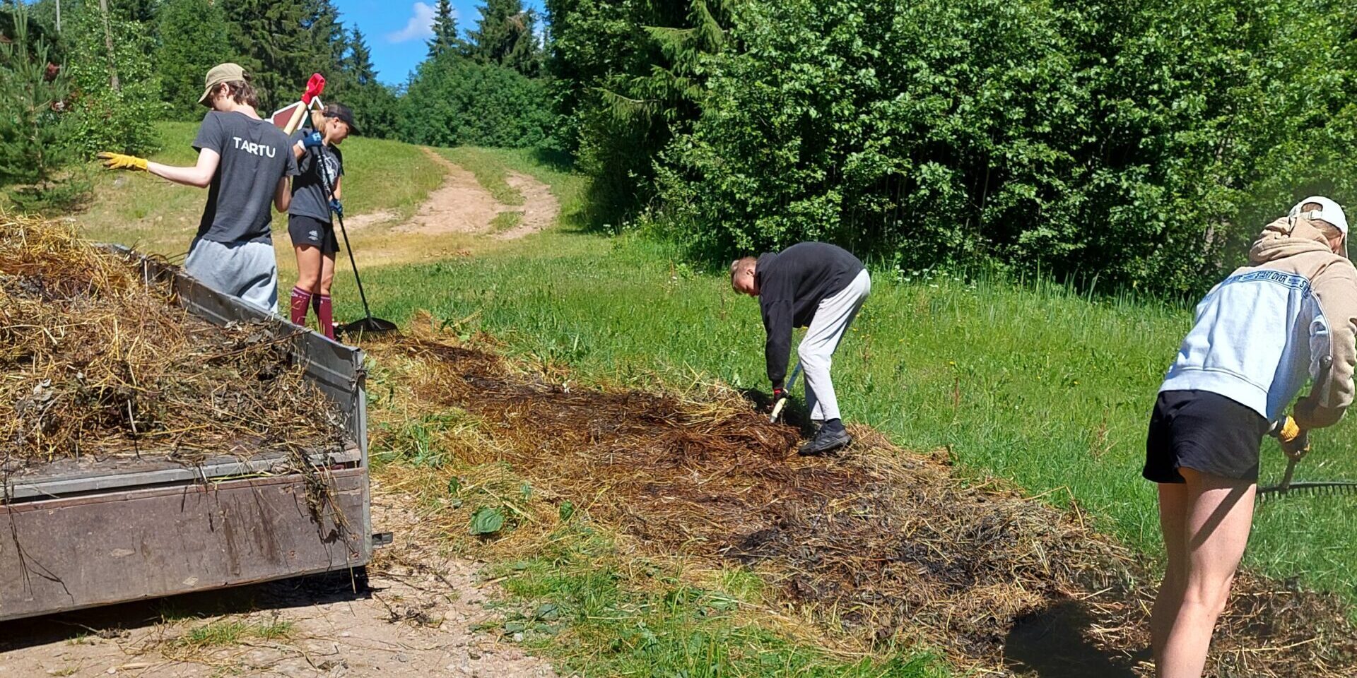 MicrosoftTeams-image (31)